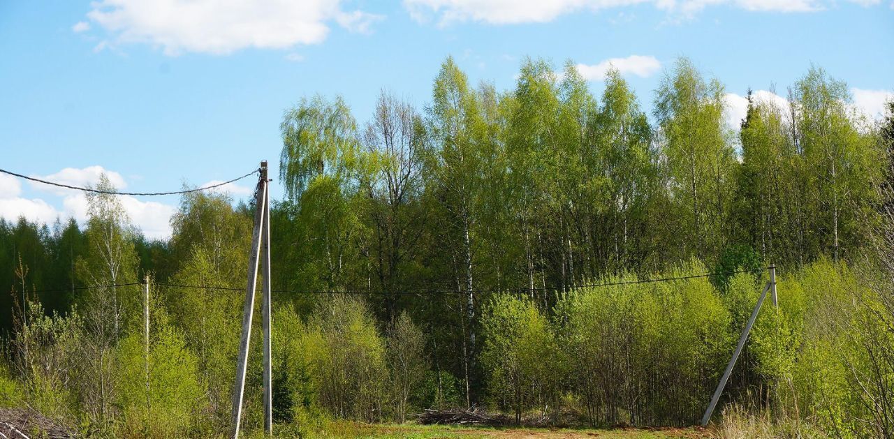 земля городской округ Дмитровский д Селевкино фото 2