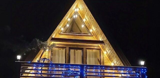 Пушкиногорье городское поселение, 25, д. Авдоши фото