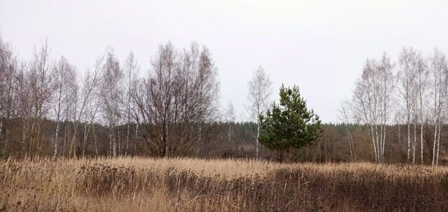 городской округ Егорьевск д Ивановская фото