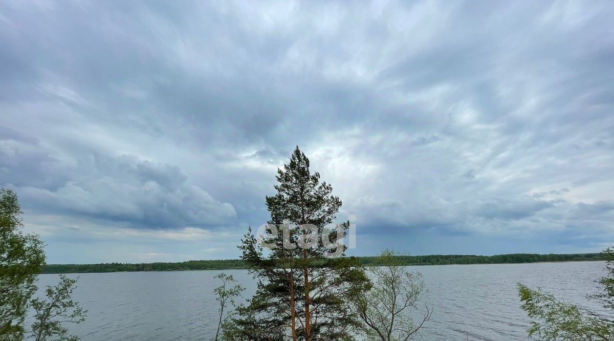 земля р-н Костромской д Лунёво Чернопенское с/пос, 17А фото 11