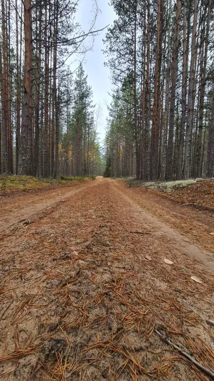 дом р-н Олонецкий с Видлица ул Десанта 43 фото 49