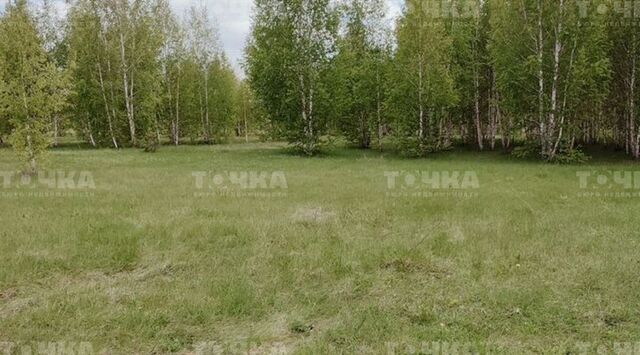 ул Восток-4 Травниковское с/пос фото