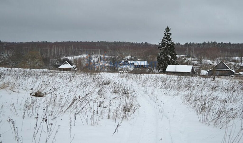 земля р-н Богородский фото 2