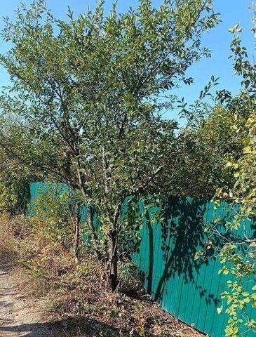 снт Белозерки Водинский садовый массив, 1542, Новосемейкино городское поселение фото