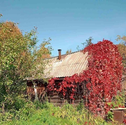 земля г Пермь р-н Орджоникидзевский ул Фрунзе фото 2