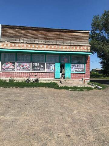 р-н Мошковский с Сарапулка ул Центральная 2 фото