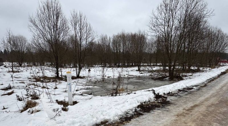 земля городской округ Клин д Кузнецово ул Новая фото 11