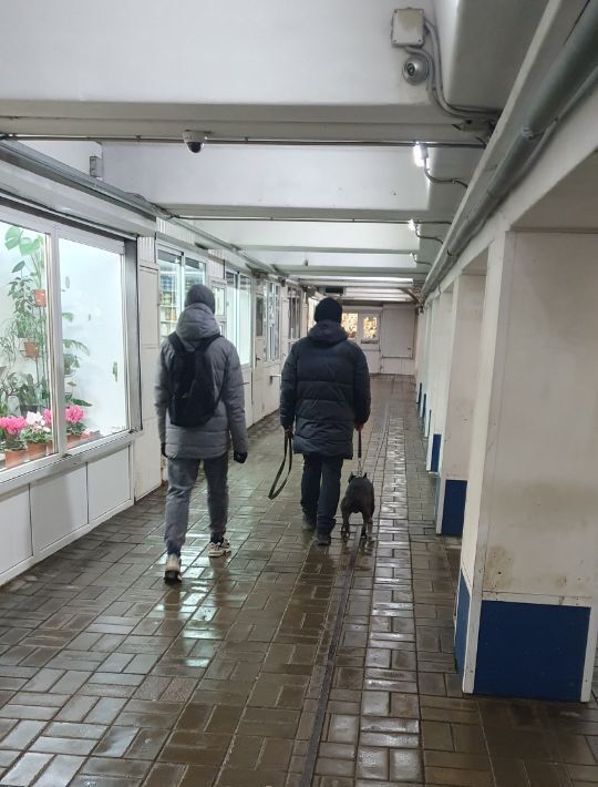 торговое помещение г Набережные Челны р-н Комсомольский пр-кт Набережночелнинский 43а фото 4