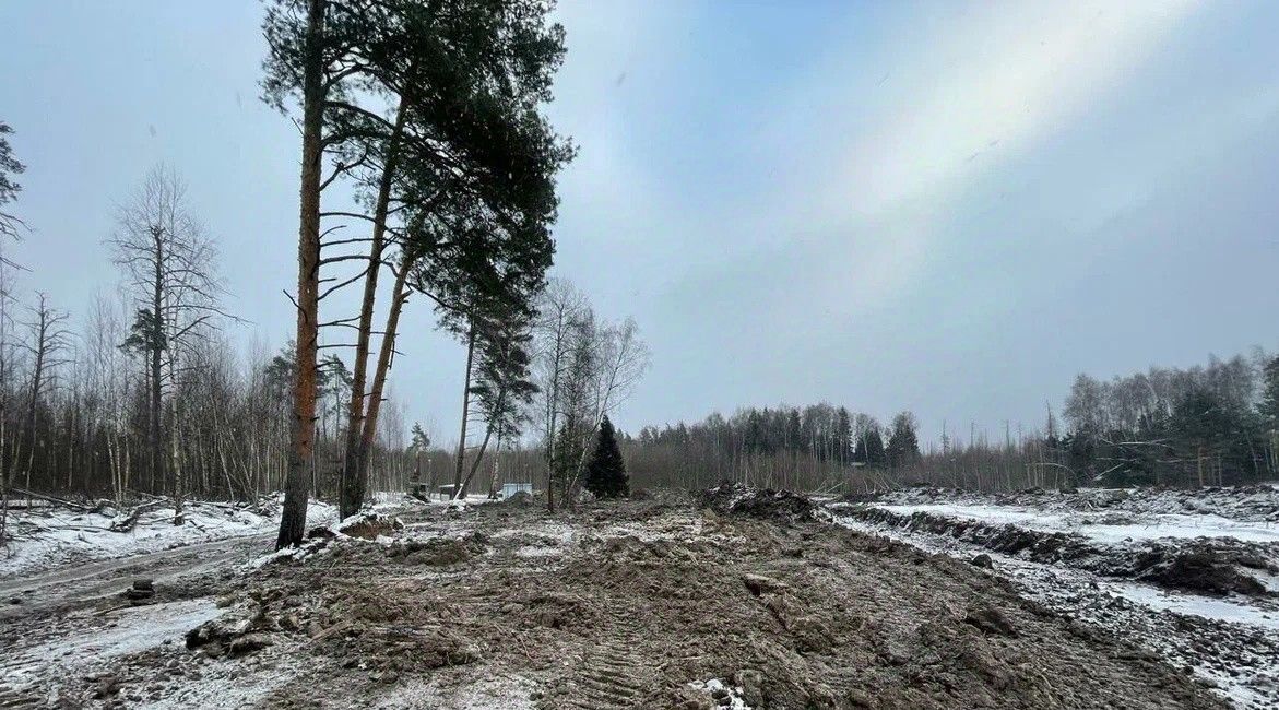 дом городской округ Богородский Щемиловские усадьбы кп, Железнодорожная фото 8