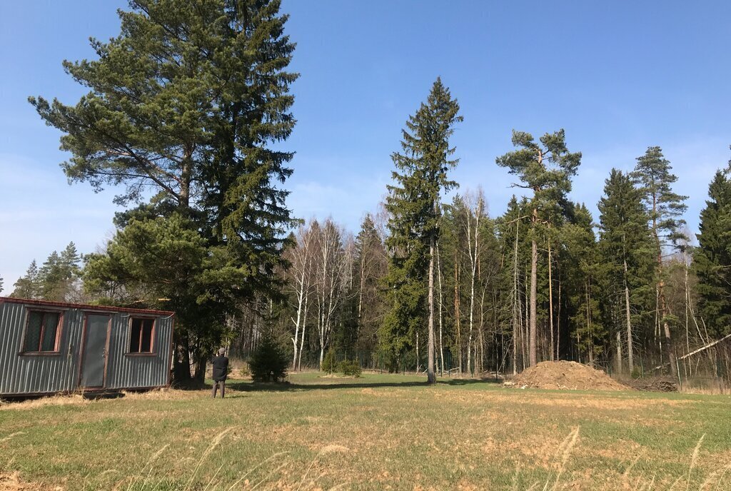 земля городской округ Одинцовский д Иваньево ул Лесная 8 фото 3