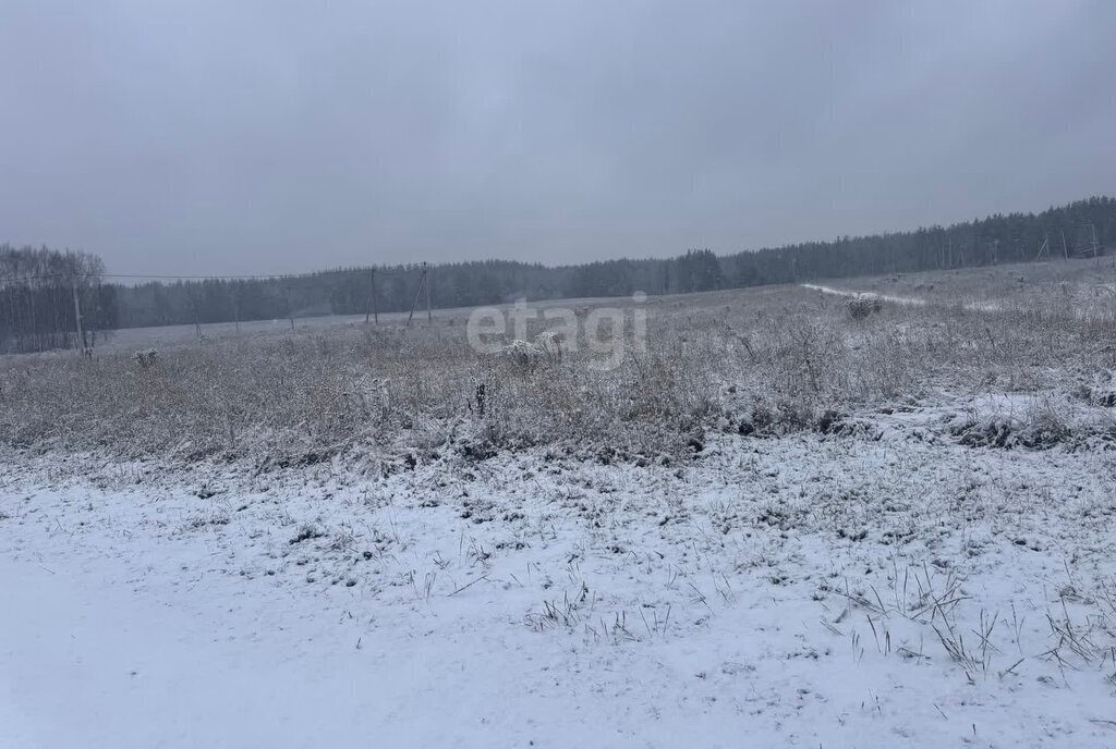 земля р-н Балахнинский д Гриденино фото 1