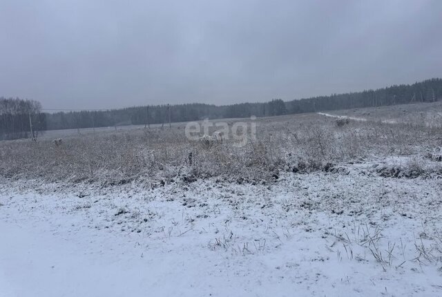 земля р-н Балахнинский д Гриденино фото