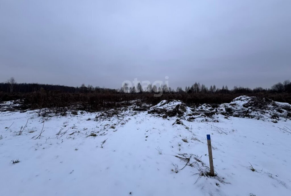 земля р-н Городецкий деревня Максимовское фото 4