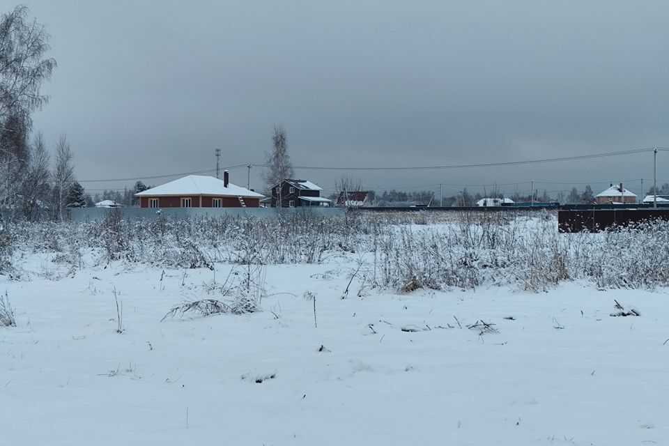 земля городской округ Орехово-Зуевский д. Кудыкино фото 1