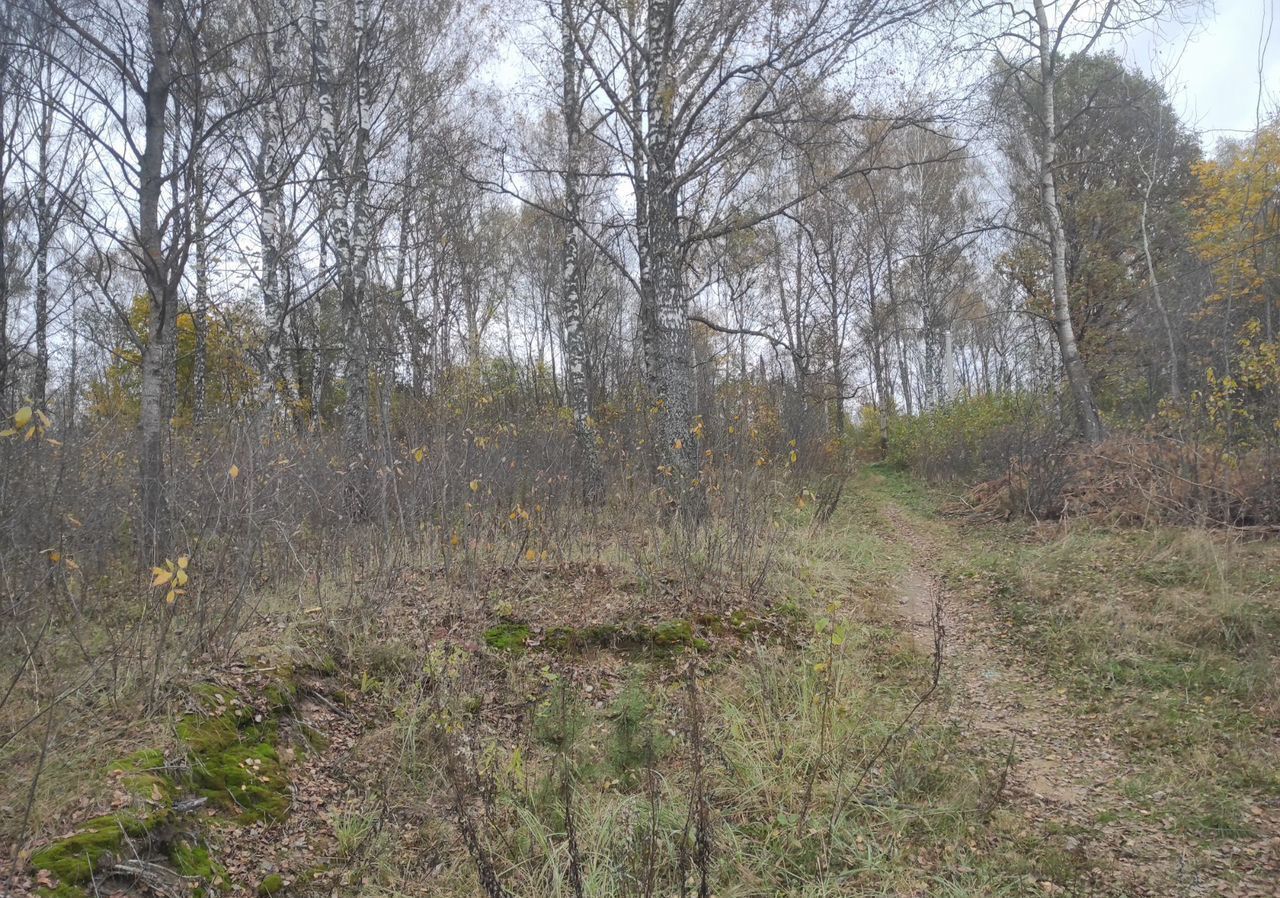 земля р-н Смоленский д Ясенная Смоленск фото 3