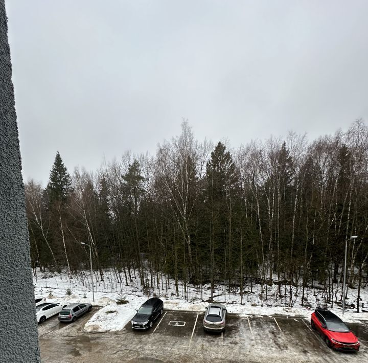 квартира городской округ Солнечногорск д Брёхово ЖК «Митино Дальнее» 14 Зеленоград — Крюково, Химки городской округ фото 2