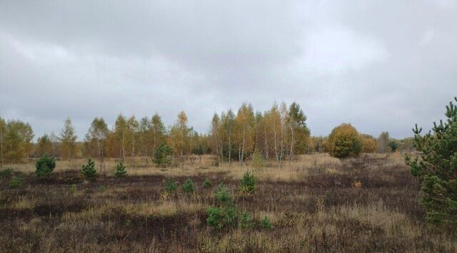 д Свиридоново ул Зеленая Коломна городской округ фото