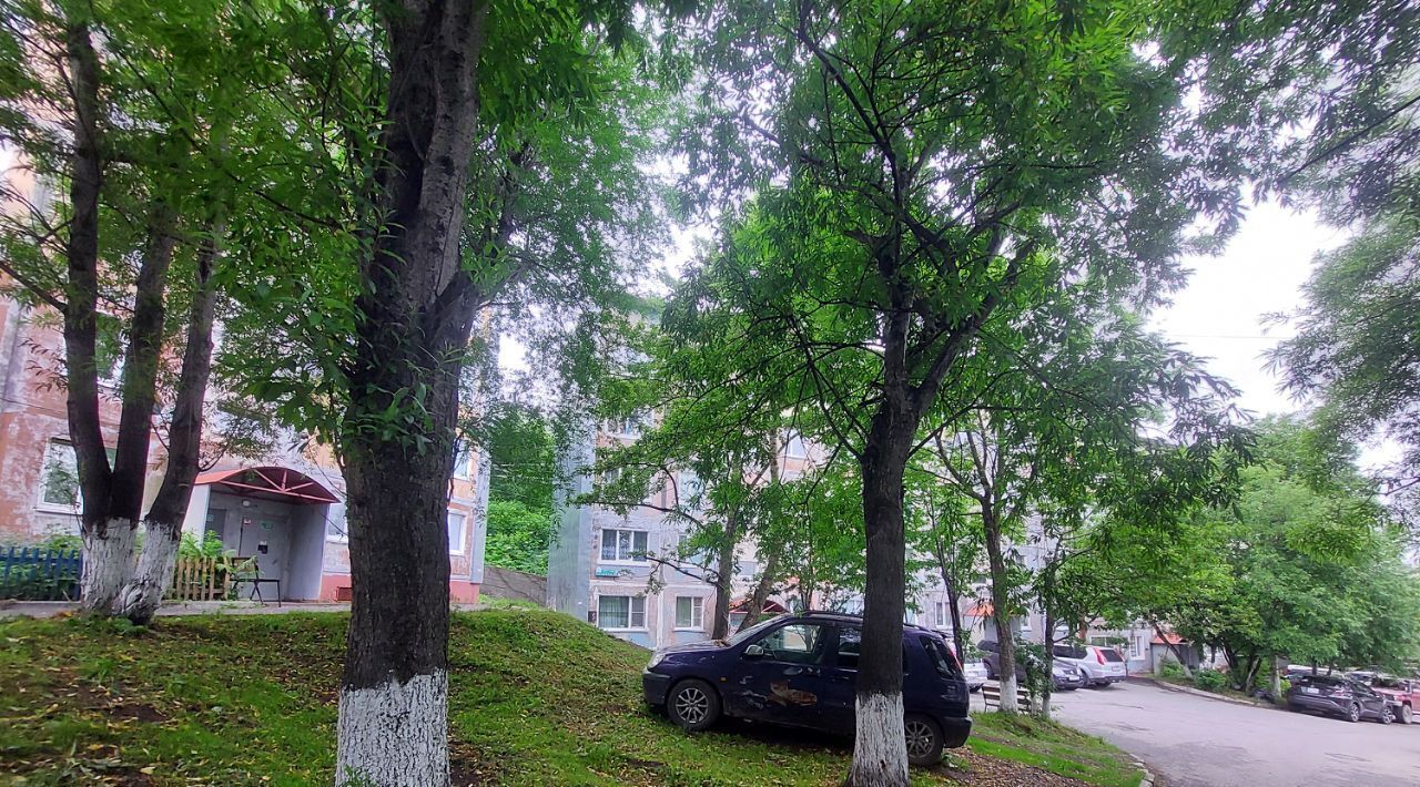 квартира г Петропавловск-Камчатский ул Батарейная 2 фото 16