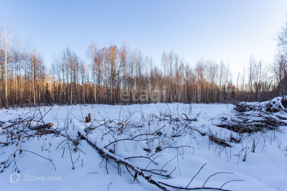 земля г Тобольск улица Центральная, 24, Тобольск городской округ фото 3