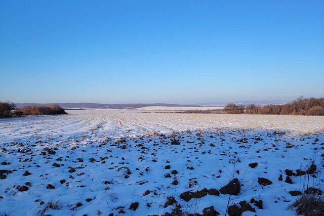 земля г Уссурийск фото