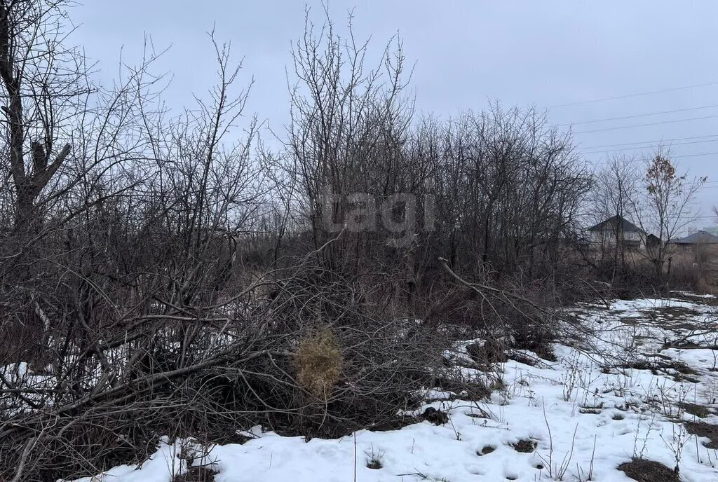 земля р-н Саратовский п Расково ул Мирная фото 2