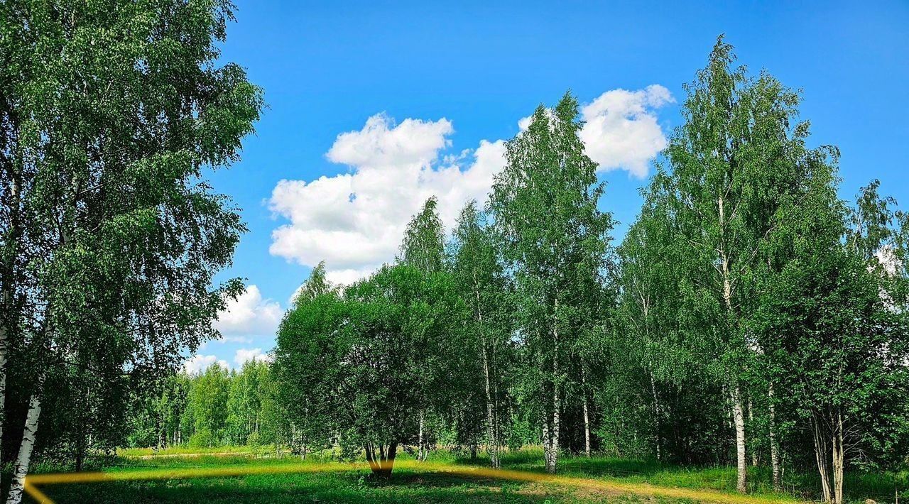 земля р-н Тосненский д Ивановское ул Тойлуг 1 Любанское городское поселение фото 4