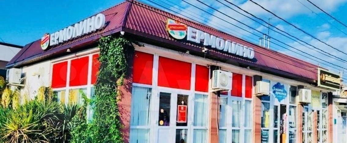 торговое помещение р-н Анапский г Анапа с Витязево ул Черноморская 102 фото 13