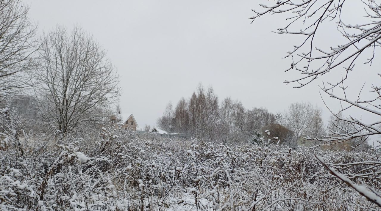 земля городской округ Наро-Фоминский д Смолино фото 1