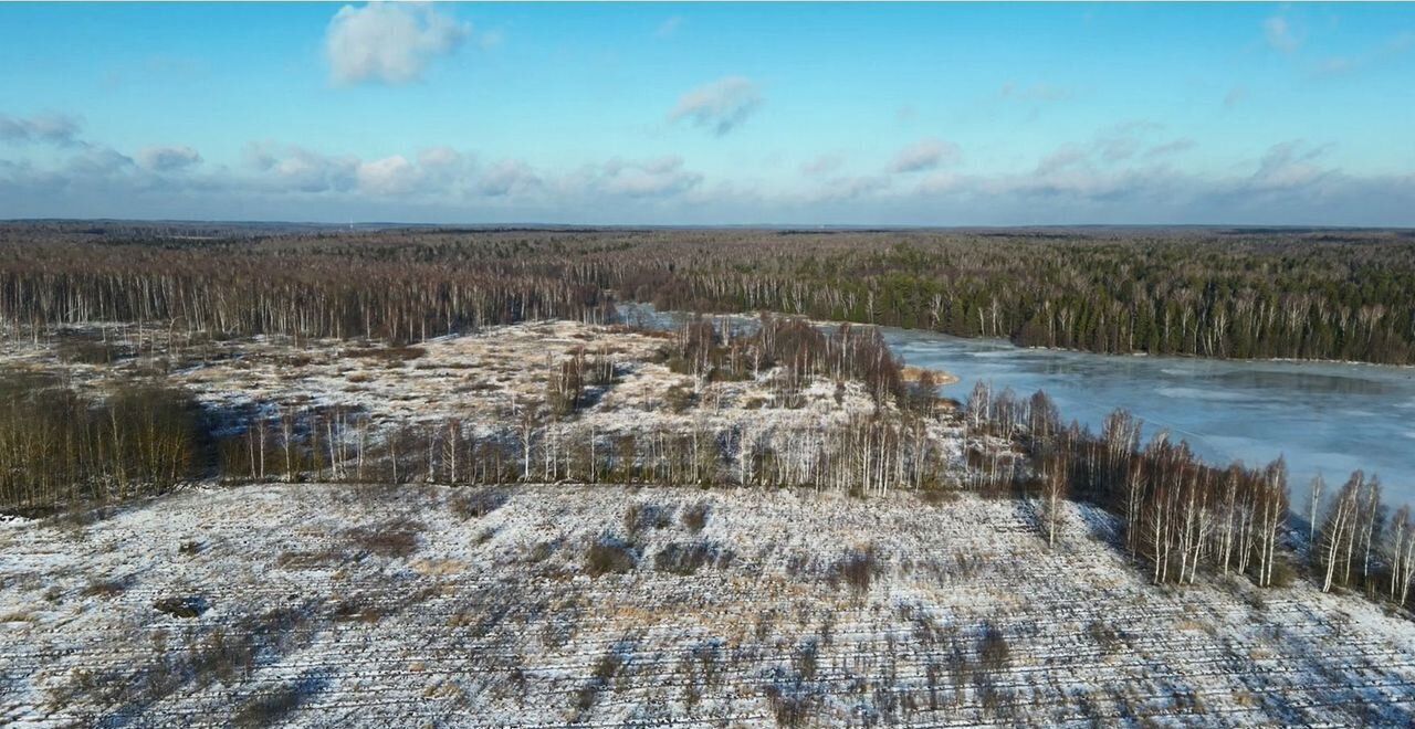 земля городской округ Коломенский д Сурино 95 км, 18А, Коломна, Новорязанское шоссе фото 6