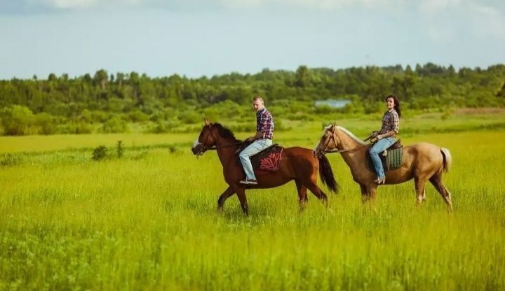 дом городской округ Истра п Октябрьский 38 км, Истра, Волоколамское шоссе фото 30