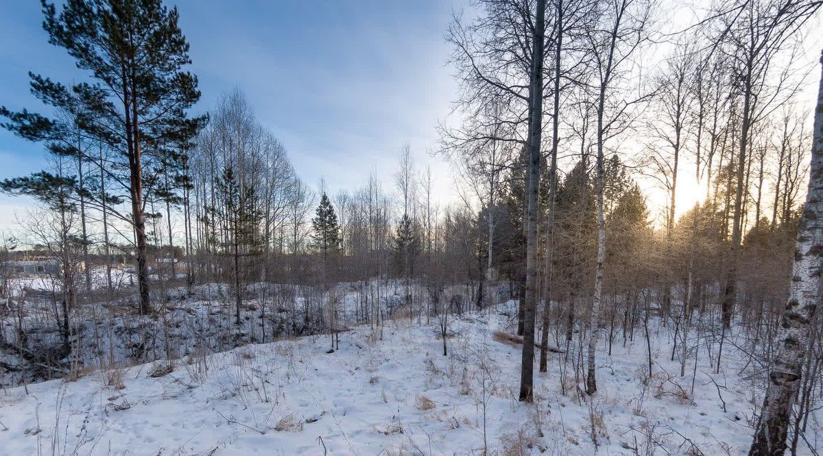 земля р-н Нижнетавдинский с Тюнево ул Звездная фото 12