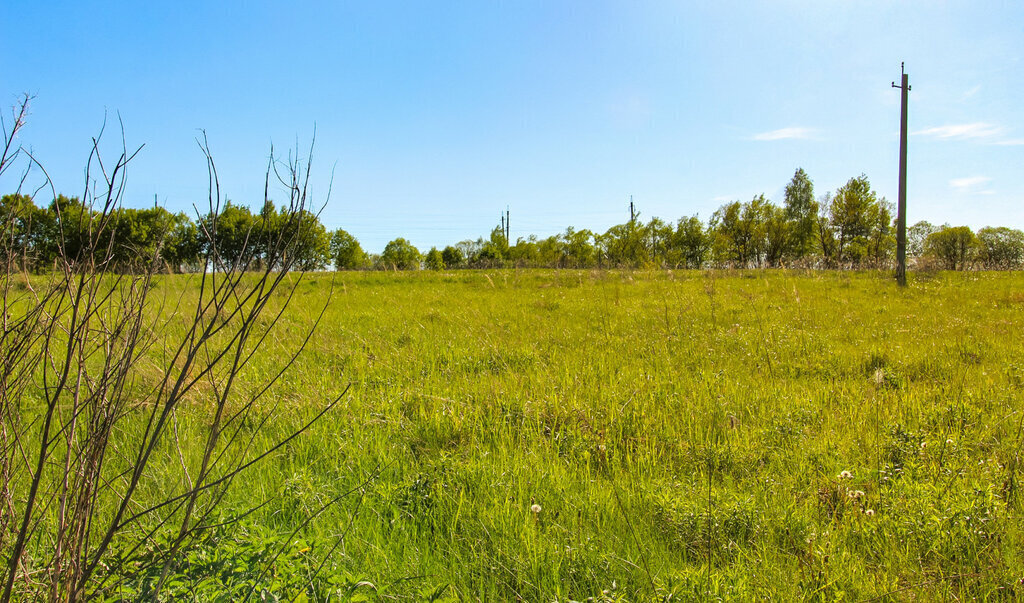 земля р-н Ленинский с Ионино городской округ Тула фото 11