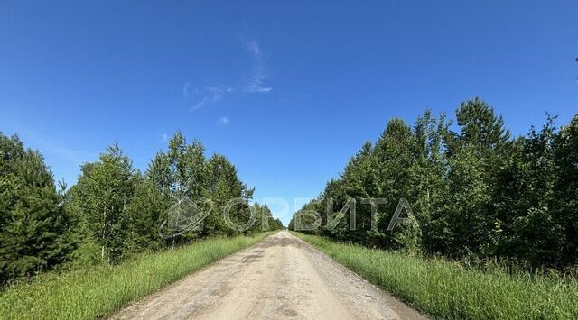 Аракчино СНТ, ул. Приозерная фото