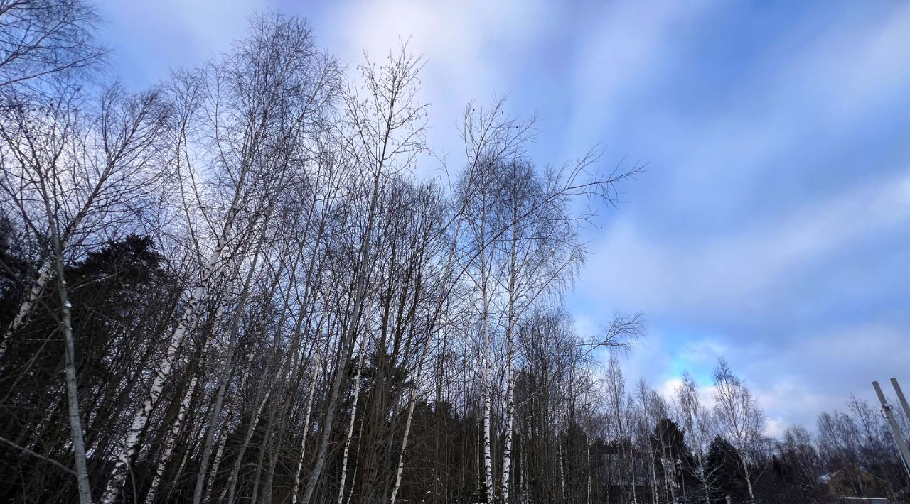 земля городской округ Дмитровский Форест Клаб кп, 16 фото 10