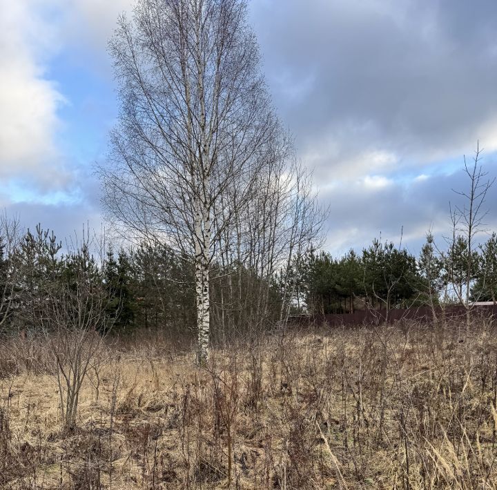 земля городской округ Раменский д Становое ул Овражная Удельная фото 5