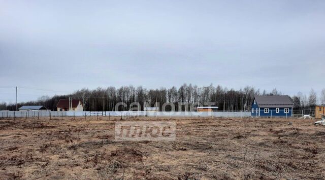 Переславль-Залесский городской округ фото