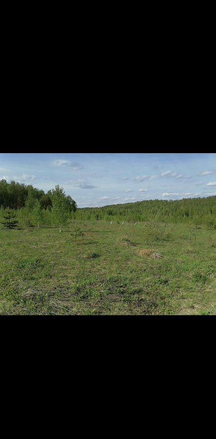 земля р-н Богородский п Буревестник сельский пос. Мирный фото 3