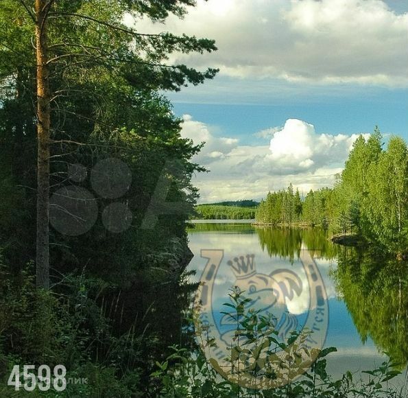 земля р-н Аксайский ст-ца Старочеркасская фото 2