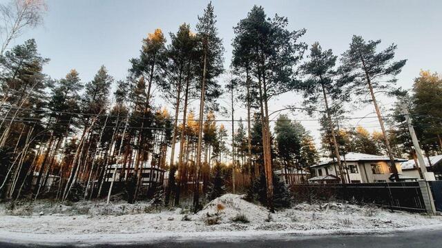 ул Рижская Сертоловское городское поселение, ДНП Памир, Ленинградская область, Всеволожский район фото