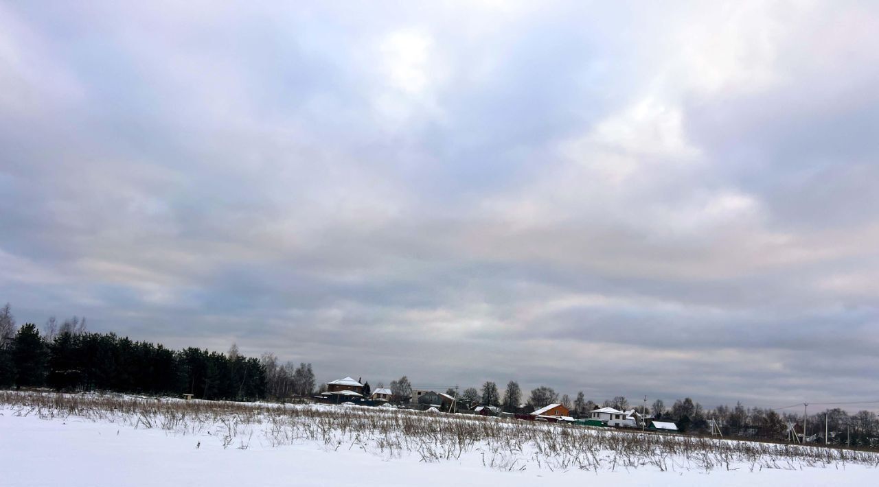 земля городской округ Пушкинский с Братовщина 180 фото 8