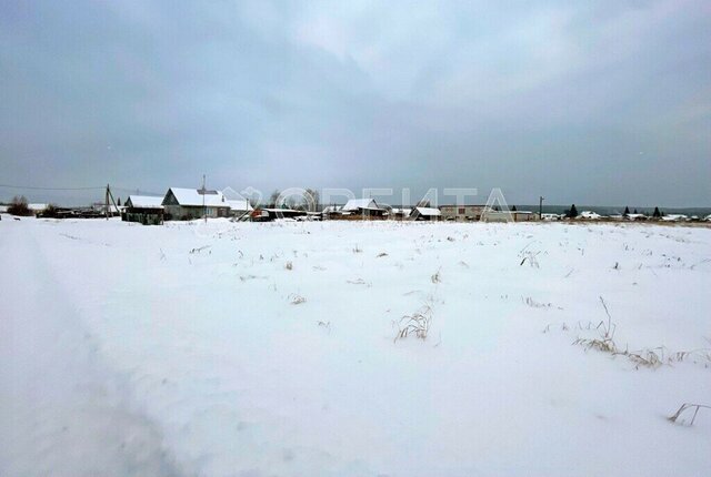 ул Полевая Червишевское сельское поселение фото