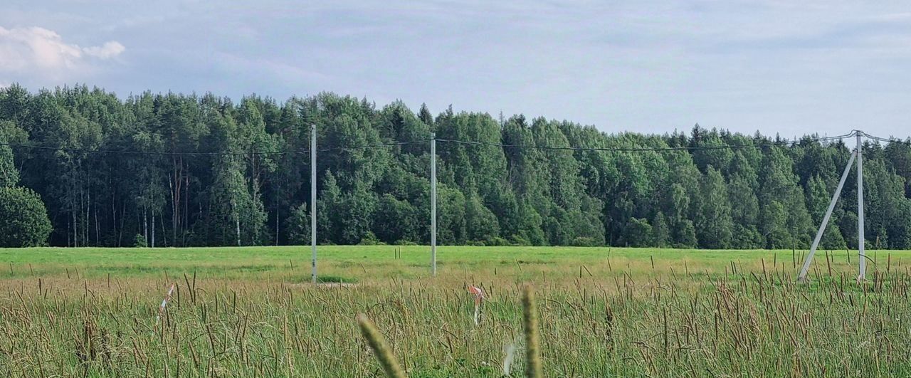 земля г Санкт-Петербург п Левашово р-н Выборгский фото 2