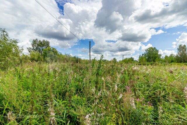 Тюмень городской округ, СО Виктория-1 фото