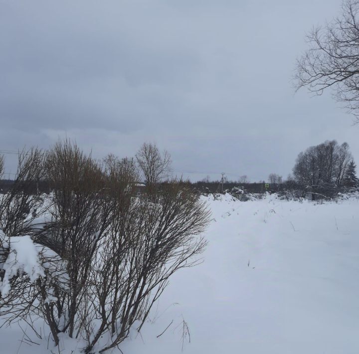 земля городской округ Можайский д Лусось фото 1