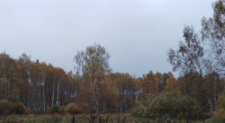 земля городской округ Дмитровский д Дядьково фото 1