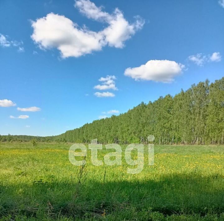 земля р-н Меленковский д Адино ул Молодежная фото 2