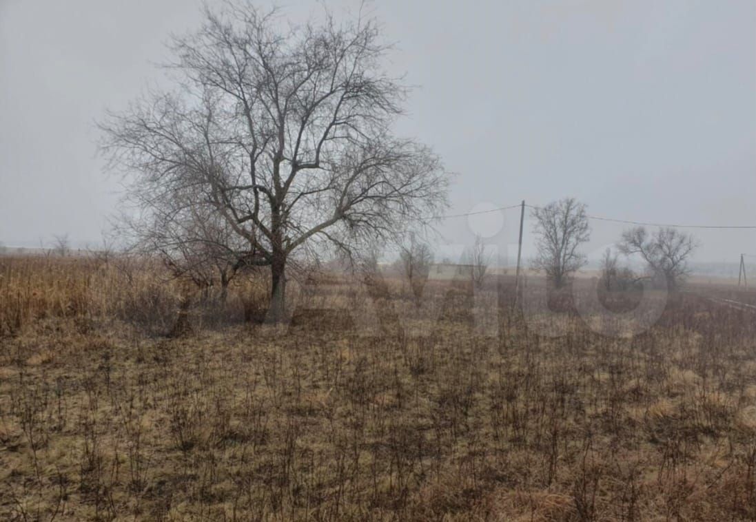 земля г Волгоград р-н Советский ул Словацкая 38 фото 2