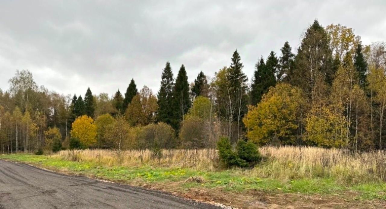 земля городской округ Пушкинский д Михалёво Михалевская Бухта кп фото 2