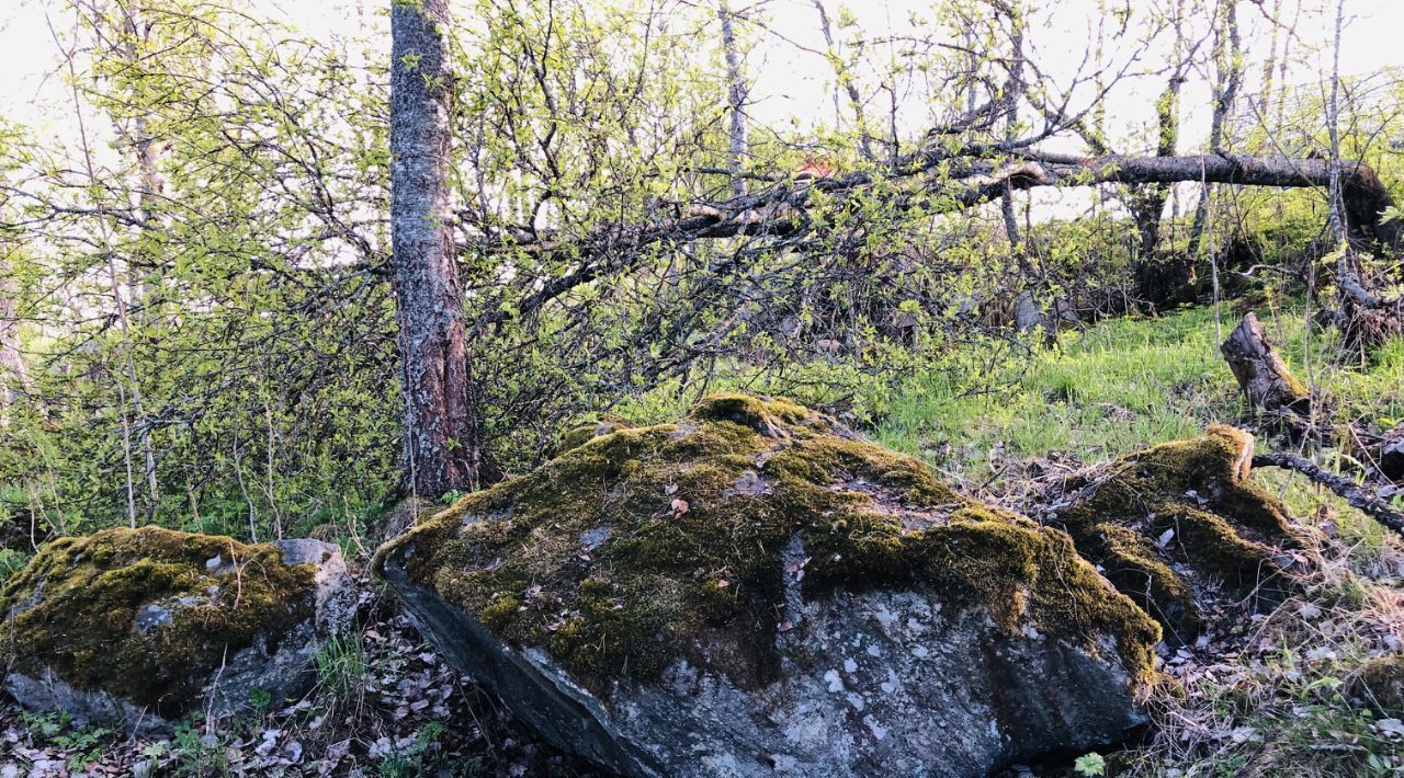 дом г Сортавала п Лавиярви Сортавальский район, Хаапалампинское с/пос, Южный Берег тер., 1 фото 25