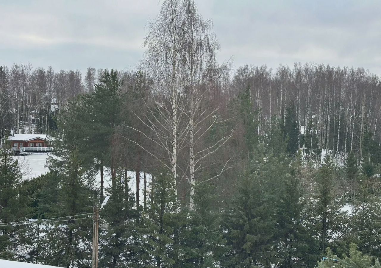 квартира р-н Всеволожский г Всеволожск проезд Пугоревский 1к/3 Всеволожское городское поселение фото 15